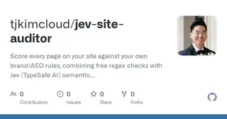 Jev Site Auditor preview