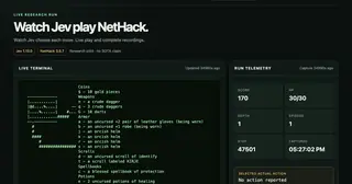 jev-nethack-live.poppybyte.chatgpt.site preview