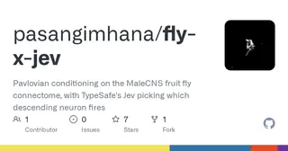 Fly x Jev preview