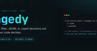 triagedy preview
