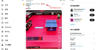 xtags preview